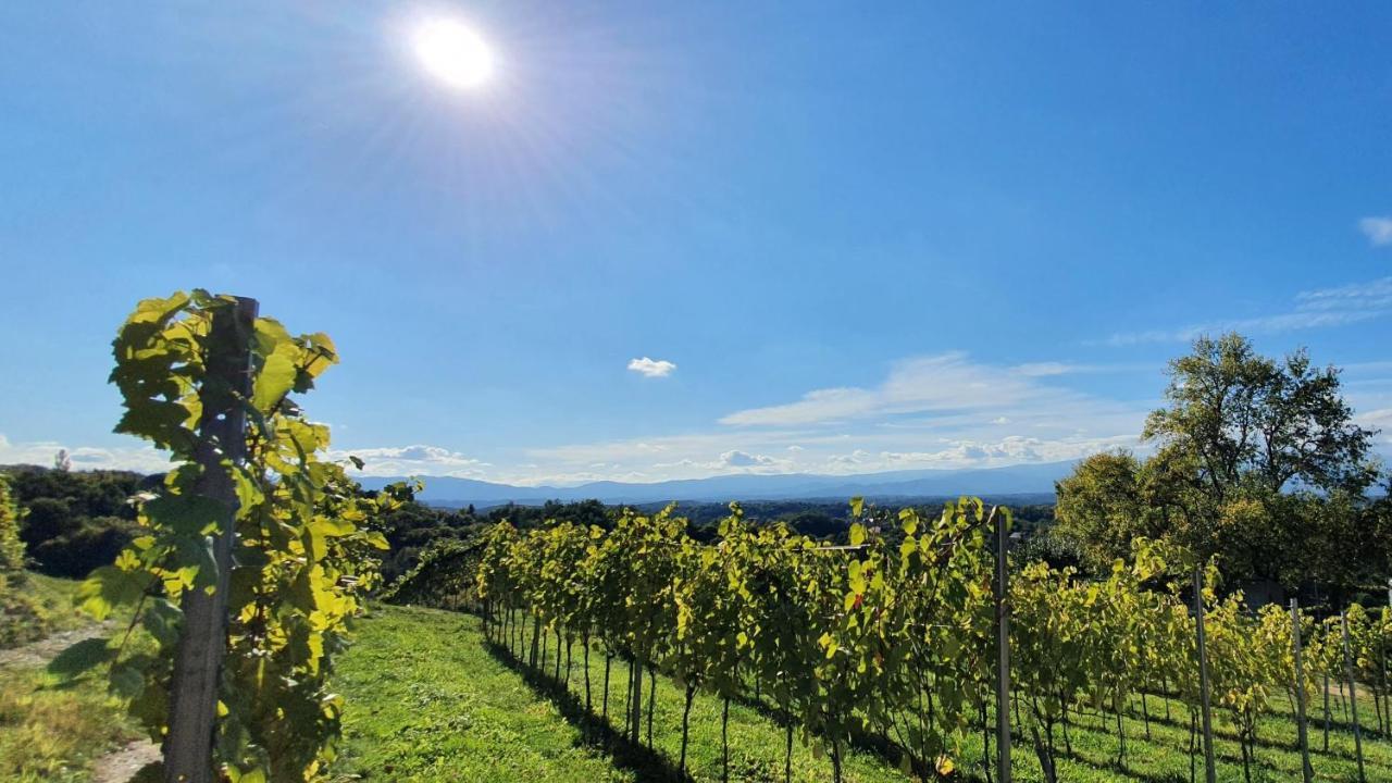 Living & Relax Resorts Sausal 外观 照片